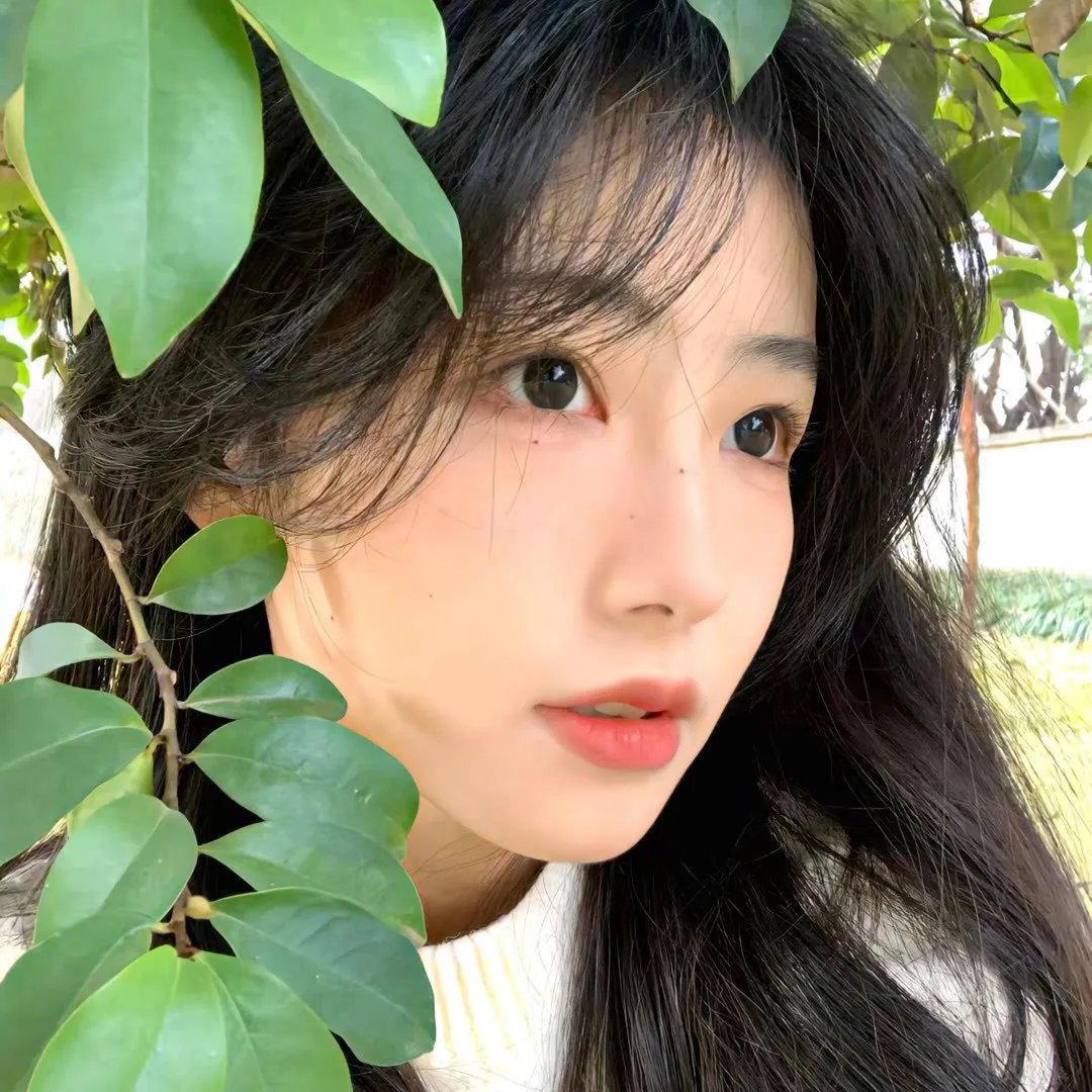 艾菲·格蕾